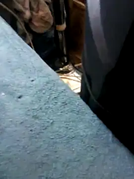 TSKaszandra Obrolan Langsung XXX