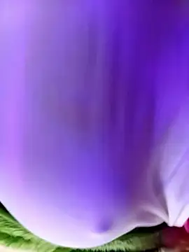 Živý XXX chat Minoch-arab