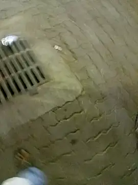 Horny-boyyy: διαδικτυακό σόου στην κάμερα