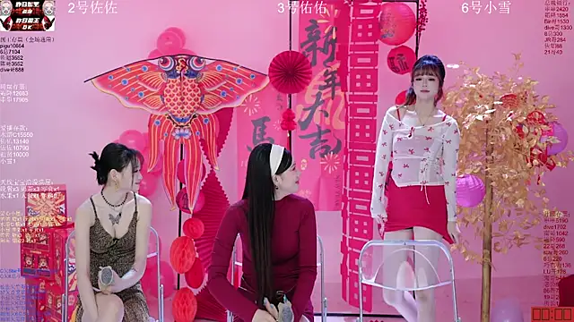 Show webcam de ATY1314