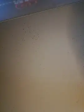 Pertunjukan Kamera Web striplove777