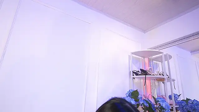 Show modela elasummer na web-kameri