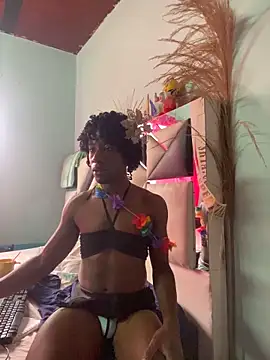 Show webcam de AnelimDagota