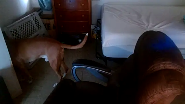 DADDY_KANE8--- Adlı Modelin Canlı XXX Sohbeti