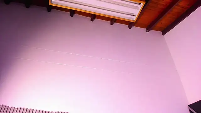 Philipp-Jonesのウェブカメラショー