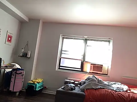 littyleesh1: онлайн-секс-чат