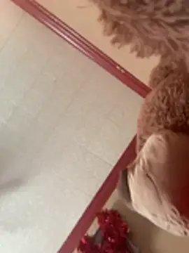 Tamiii420 লাইভ XXX চ্যাট