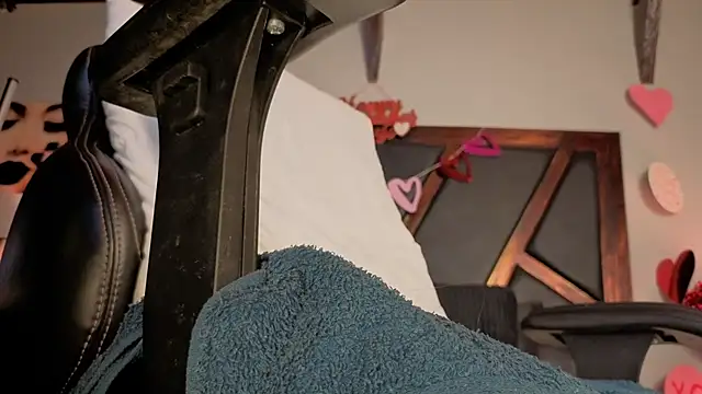 donnasoton Webbikameraesitys