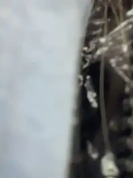 blonde_exe's Webcam Show