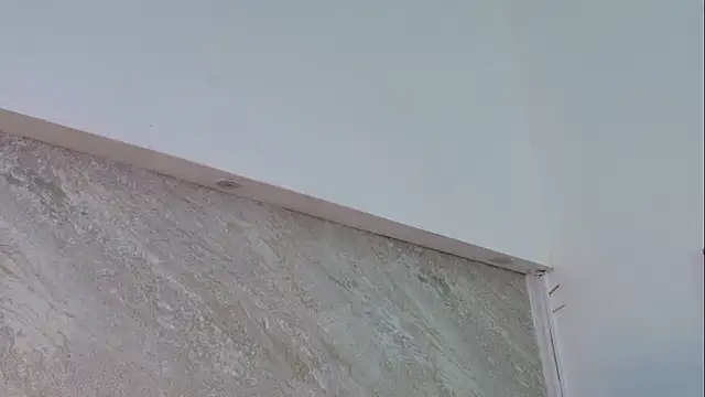 Онлайн чат XXX Dixie_grey1