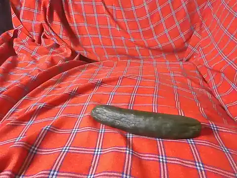 Sexyass100 Chat XXX live