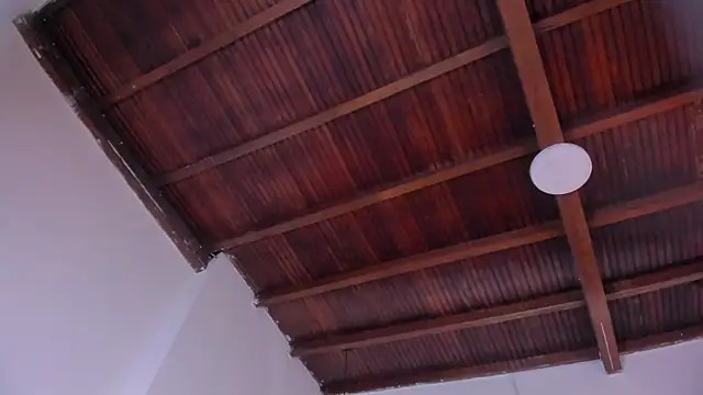 Chat XXX Live emily-fox