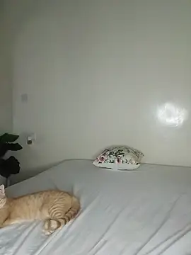 Chat XXX en directo de Nedambale