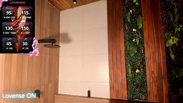 عرض كام nicktorn