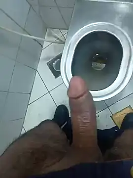 Stallionbull37 Live XXX-Chat