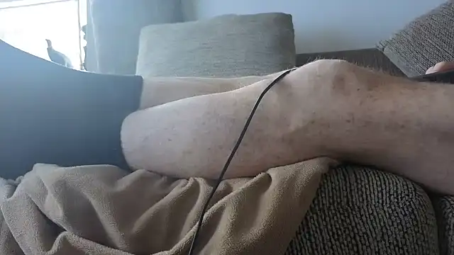 แชท XXX สดของ CDforU