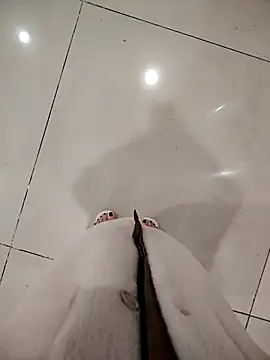 Mina-02のウェブカメラショー