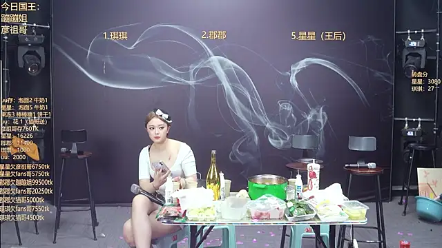 A848-01 网络视讯表演