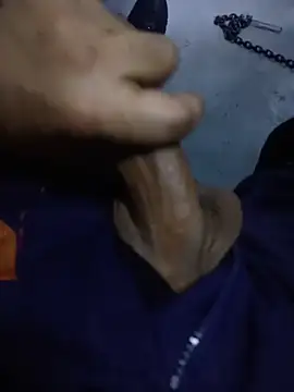 Stallionbull37 Chat XXX live