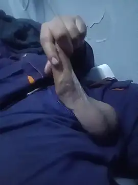 Stallionbull37's Live XXX Chat