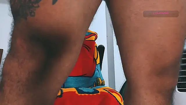 Pertunjukan Kamera Web SilvaBranko