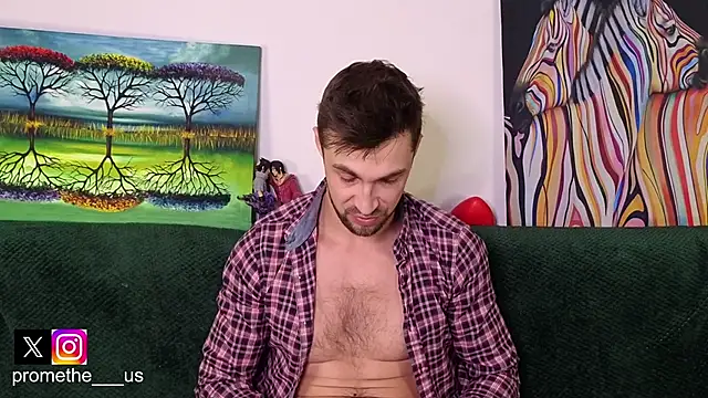 Show Webcam de Promethe_us