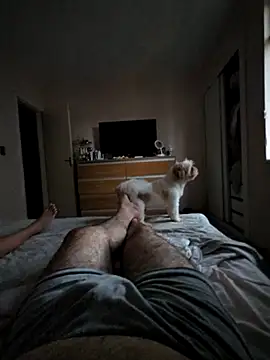 Show Webcam de MysterBearMG