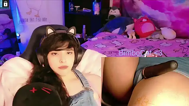 BimboCat: διαδικτυακό σόου στην κάμερα