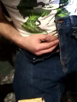 Wero4200 网络视讯表演