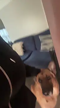 Chocolatebunnyxx96: онлайн-секс-чат