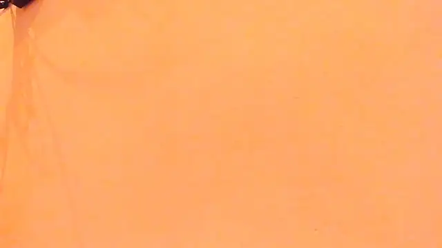 Show Webcam de TheBatMansion