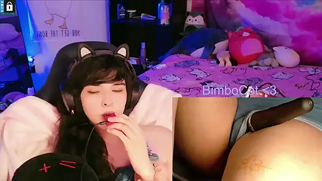 BimboCat's Webcam Show