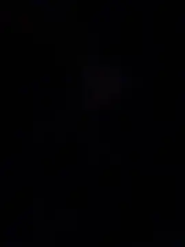 Susi_und_Strolch live XXX chat