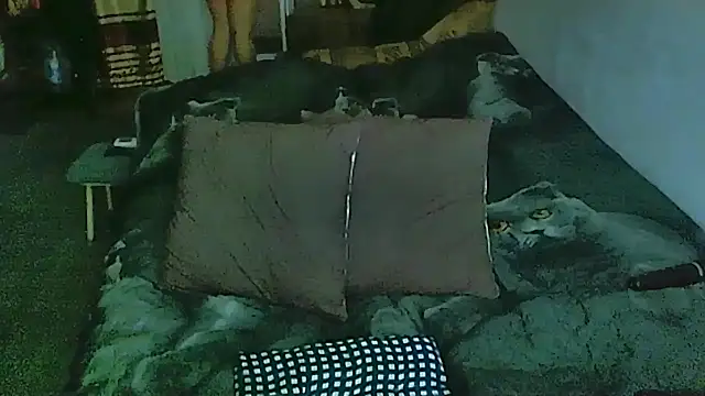 sex2 Adlı Modelin Canlı XXX Sohbeti