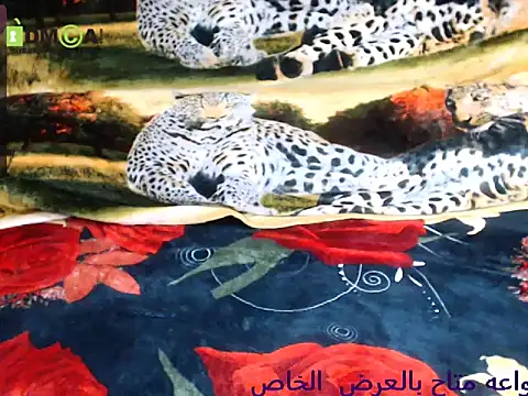 Živý XXX chat Queen_Sarah