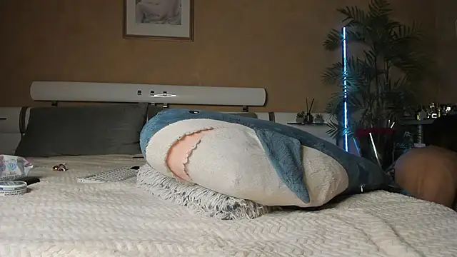 Diamond_D_ 网络视讯表演