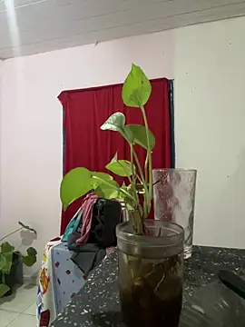 Loaisn: онлайн-секс-чат