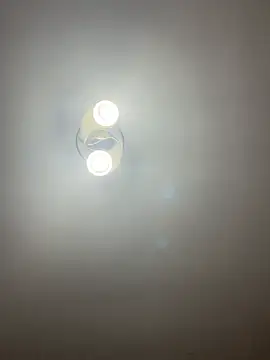 Chat XXX Live bunnythetailor