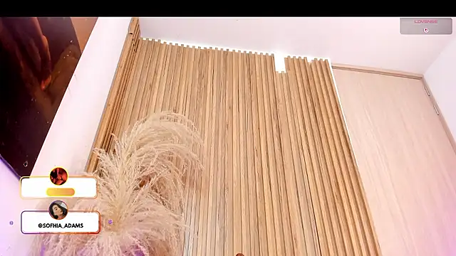 Chatroom XXX en direct de sofhiaa_adaams