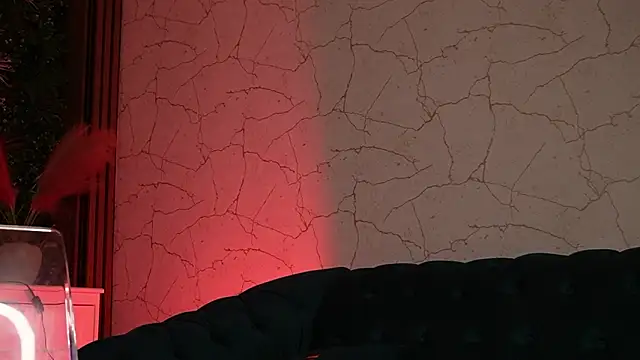 sisi_von_dee Adlı Modelin Canlı XXX Sohbeti