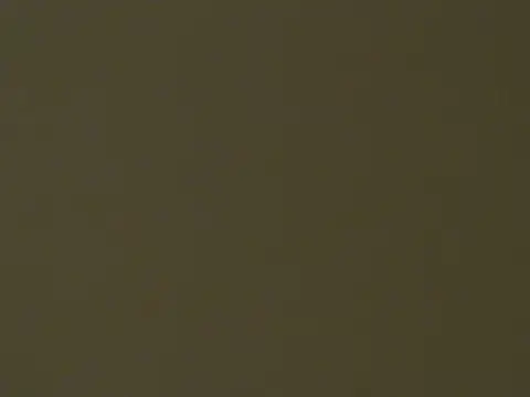 HotSnackXX লাইভ XXX চ্যাট