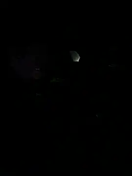 Živý XXX chat LeBimbo