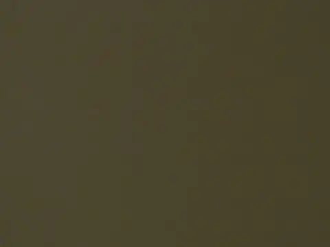 HotSnackXX Adlı Modelin Canlı XXX Sohbeti