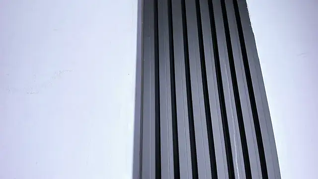 Cupeer-1 élő XXX-chatje