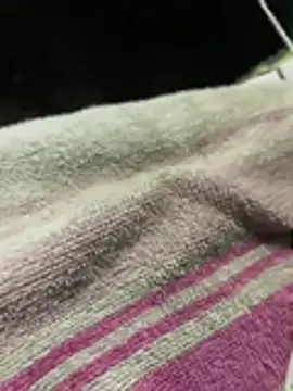 Djv16 élő XXX-chatje