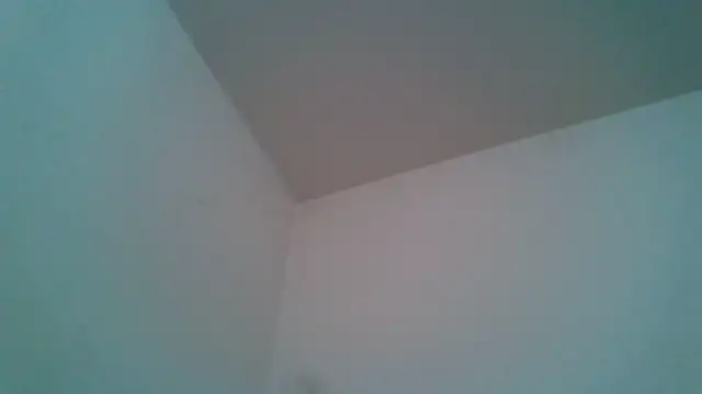 BaaileyZelda's Live XXX Chat