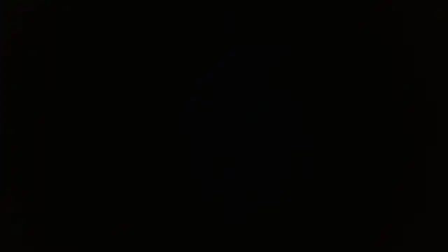 Show webcam de Heracles00