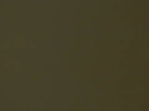 HotSnackXX 即時 XXX 聊天