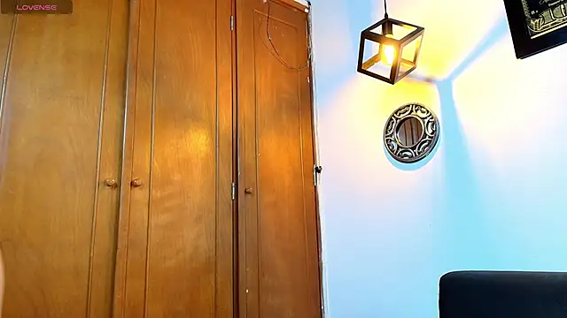 Show webcam de couple_lovelyds