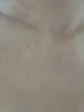 SweetBunnyGF:  απευθείας συνομιλία ΧΧΧ